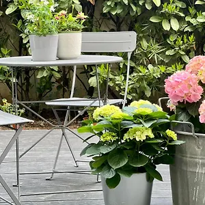 Loft G Hospitality , Milano Italia